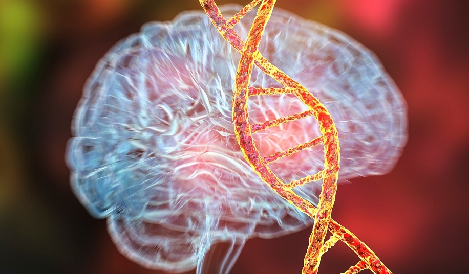 Image: A simple genetic test can determine who has a 10-fold higher risk for developing PML (Photo courtesy of Shutterstock)